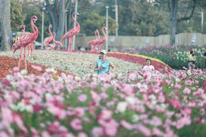 BIB: 
                            <button type="button" onclick="openModal(27343986)" class="btn btn-primary btn-sm float-right btn-popup" data-toggle="modal" data-target=".modal-high-quality">
                        <i class="fas fa-shopping-cart"></i> Add to Cart
                    </button>
                                            <button type="button" onclick="isThisMe(27343986, true)" class="btn btn-success btn-sm float-right btn-popup btn-isme hidden" data-toggle="tooltip" data-placement="bottom" title="นี่คือรูปของคุณใช่ไหม คลิกที่นี่เพื่อเอาเข้าอัลบั้ม">
                        <i class="fas fa-plus"></i> Add to album
                    </button>
                    <button type="button" onclick="isThisMe(27343986, false)" class="btn btn-warning btn-sm float-right btn-popup btn-isnotme hidden">
                        <i class="fas fa-ban"></i> Remove from album
                    </button>